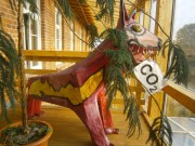 OLYMPUS DIGITAL CAMERA